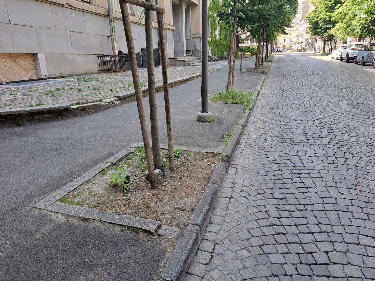 Verde pubblico ad Aosta: aiuole abbandonate e un assessore che non risponde