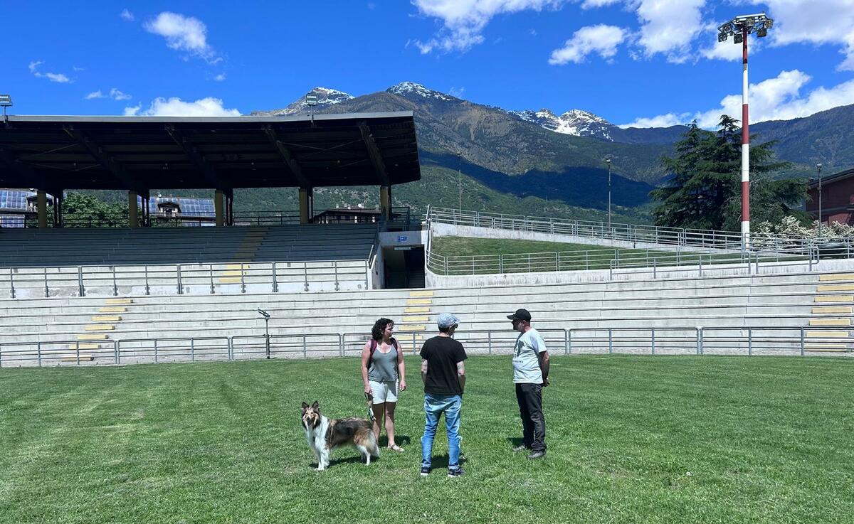 Un cane non è un gioco: responsabilità, non improvvisazione