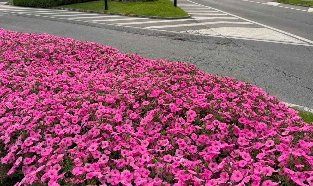 Il bello nascosto dalla macchia di sporco così come una nuvoletta copre il sole