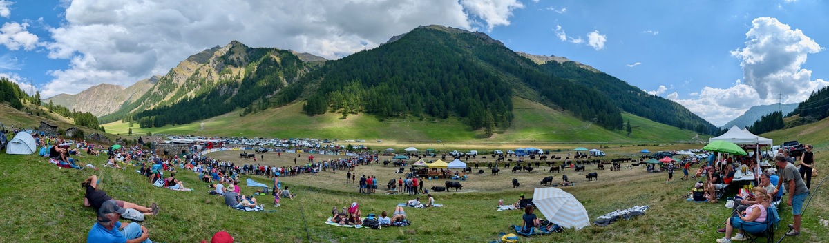 Battailes de Reines: Vertosan riparte con il pieno di pubblico: oltre mille spettatori applaudono Lionne, Braqueun e Reinon e  Royale di AlessandrommVoyat regina del peso con 733  kg