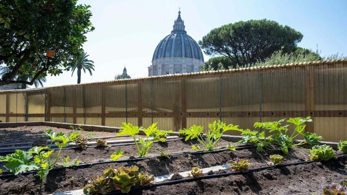 L’orto del Papa, nei Giardini Vaticani, diventa al 100% biologico