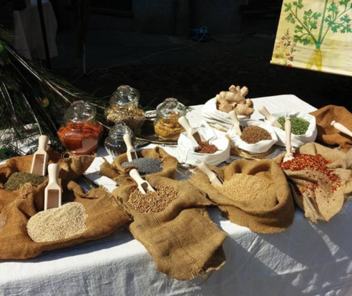 A tavola nel Medioevo: piatti, storia e curiosità ad &quot;Arti e Mercanti&quot; di Asti (VIDEO)