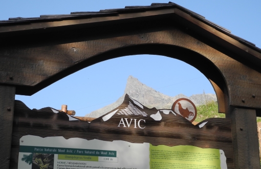 Concorso pubblico per entrare nell'organico dell'Ente Parco Naturale Mont Avic