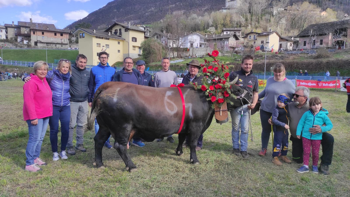 Bataille de REines Risultati terza Eliminatoria Aymavilles