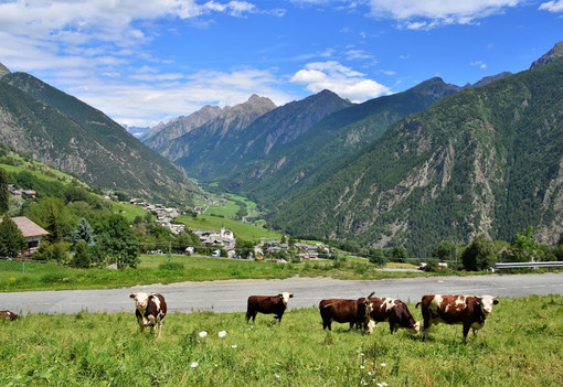 La Valle d'Aosta tra le regioni che meno consumano territorio