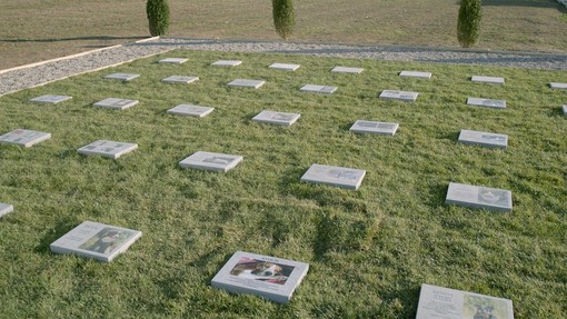 Un cimitero per animali in Italia (immagine dal sito web www.ilfidocustode.it) Un cimitero per animali in Italia (immagine dal sito web www.ilfidocustode.it)