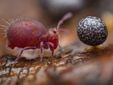 © Alexis Tinker-Tsavalas, Young Wildlife Photographer of the Year
