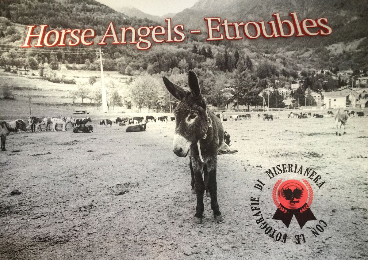 Multa ma niente confisca per le vittime di Etroubles