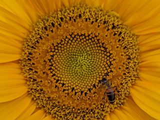 Secondo CLassificato