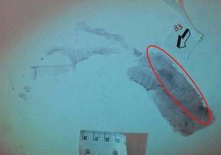 Caso Garlasco, consulenti divisi: certezze e dubbi sull'impronta 33 Caso Garlasco, consulenti divisi: certezze e dubbi sull'impronta 33