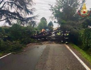 Maltempo al centronord, alberi caduti e allagamenti: oltre 1300 gli interventi dei Vigili del Fuoco Maltempo al centronord, alberi caduti e allagamenti: oltre 1300 gli interventi dei Vigili del Fuoco