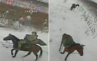 Soldati russi a cavallo, il drone ucraino colpisce Soldati russi a cavallo, il drone ucraino colpisce