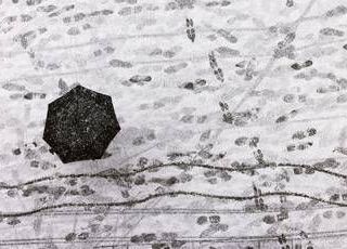 Dal freddo artico al tempestoso Maestrale: brusca svolta meteo sull'Italia