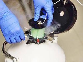 Cancro seno, 1 donna su 4 sceglie la crioconservazione degli ovociti