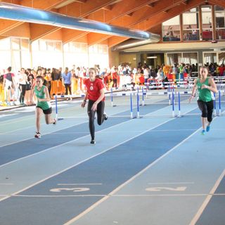 Bugie che fanno male soprattutto se a raccontarle e' un politico: il caso del Palaindoor e la fame di scoop