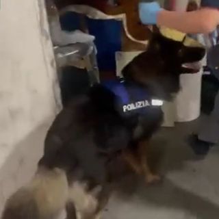 Arrestato spacciatore catanese con 4,5 kg di droga nascosta in garage