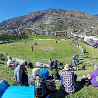 68ème Concours Régional Batailles de Reines: Seconda eliminatoria di primavera;  Victoire, Drapeau e Vedette regine a sarre