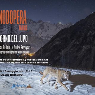 ErbaVoglio e Associazione Manodopera lanciano il primo Manodopera Talk: "Il ritorno del lupo"