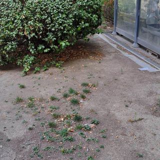 L'OPINIONE DI GIANFRANCO: Aosta, se ci tieni… dimostralo