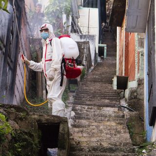 Derattizzazione, trattamenti antiparassitari, bonifiche ambientali e sanificazioni