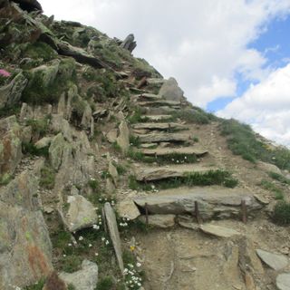 Particolare della salita (le ph sono di Lodovico Marchisio)