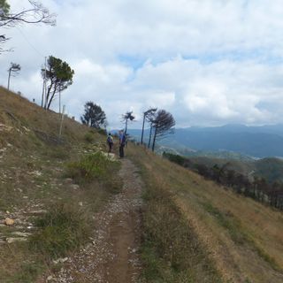 ph. Lodovico Marchisio