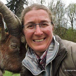 Marzia Verona, Bandiera Verde