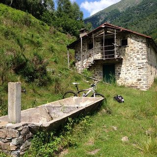 La vecchia fattoria della fantapolitica