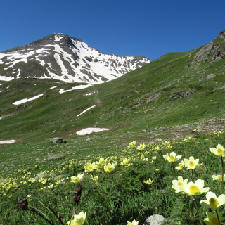Nasce una app per le attività outdoor nell’area Grand Combin
