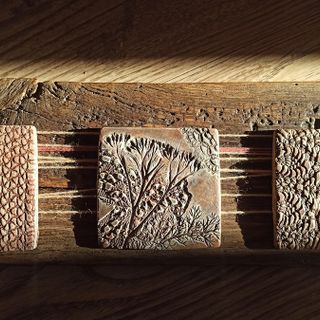 Pont-Saint-Martin ospita l'anteprima della mostra SELVATICA “La bellezza nascosta” di Lara Cavagnino