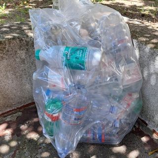 Sacchetti trasparenti per i rifiuti? Il Garante dice no