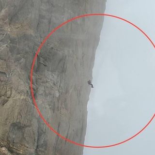 Sospeso nel vuoto sul Dente del Gigante: salvato alpinista in una corsa contro il tempo