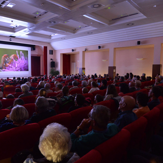Gran Paradiso Film Festival 2024, la nature rencontre l’intelligence