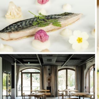 Quando il ristorante vale il viaggio: le caratteristiche di una 'Destination Restaurant'