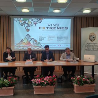Vins Extrêmes: il salone internazionale della viticoltura eroica torna al Forte di Bard il 22 e 23 novembre