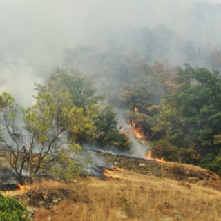 Incendio Saint-Denis (foto Edy Contoz)
