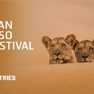 Call for entries 2026: aperte le candidature per il 29° Gran Paradiso Film Festival