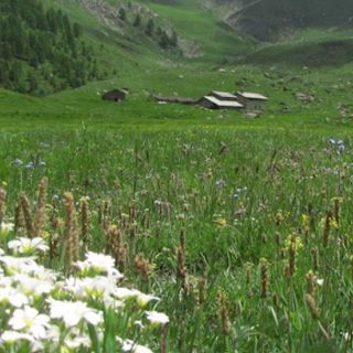 Un investimento per natura e comunità: il contributo al Comune di Rhêmes-Notre-Dame