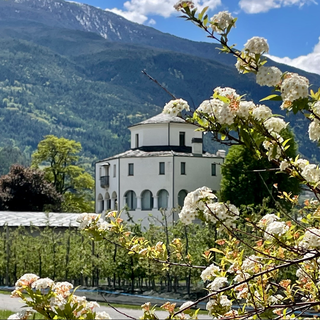 Elezioni regionali 2025: scadenza 7 novembre per comunicazioni post-elettorali di editori e concessionari radiotelevisivi