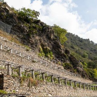 Vino valdostano: storia di fatica e di successo