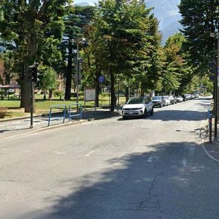 Alberi in viale Conseil des Commis (foto comune Aosta)