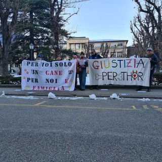 Reati contro gli animali e oblazione: serve un aggiornamento normativo adeguato alla sensibilità attuale