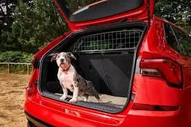 Cani in auto, occhio al bagagliaio: quando la legge dice sì...e quando no