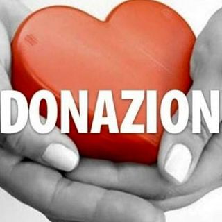 Organi che salvano vite: l’Italia da record e il valore della donazione