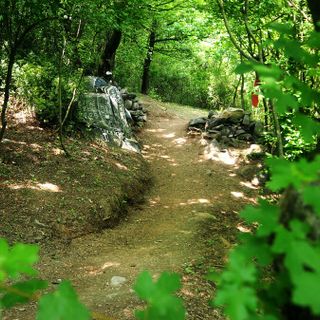 Bosco delle meraviglie a Sant’Ambrogio di Torino: fiabe, natura e un messaggio d’amore