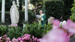 Il Papa ai dottori agronomi e forestali: “Custodire la terra è un atto di amore”