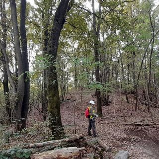 Gli ecovolontari di Avigliana al lavoro sui sentieri (ph. Claudio Ronzoni)