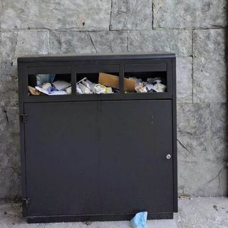 Il cassonetto della vergogna in via Guido Rey