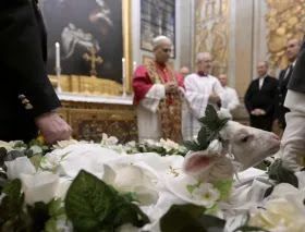 Papa Leone XIV riprende la tradizione della benedizione degli agnelli per Sant'Agnese