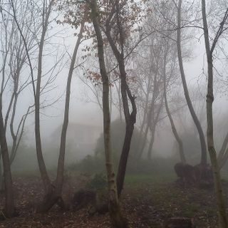 Suggestione (ph. M. Carlesso)